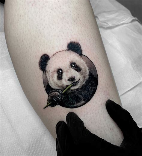 cute panda tattoo|realistic panda tattoo.